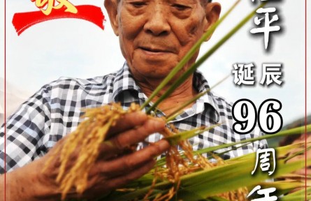 纪念袁隆平诞辰96周年