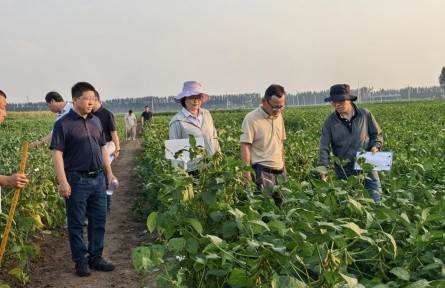 三亚崖州湾国家实验室“南北联动”铸就种业“中国芯”