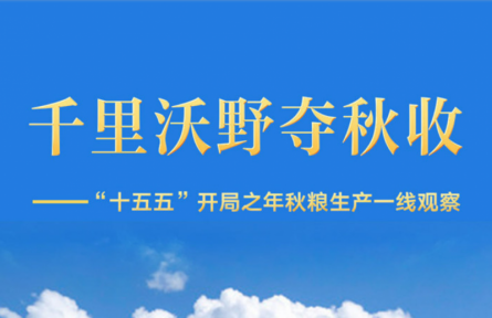千里沃野夺秋收