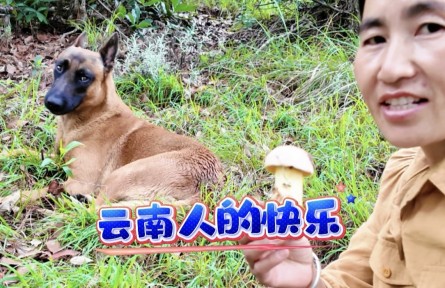 山林寻菌，看云南牟定乡土生活