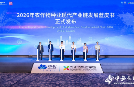 从实验室到全球市场 一粒种子链动世界 全球水稻技术创新中心在皖落地