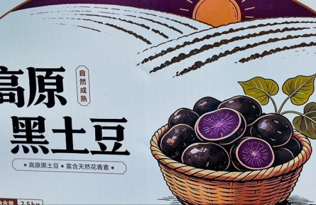 黑土豆+藏灵芝双产丰收！西藏山南曲松县特色产业激活乡村振兴致富路