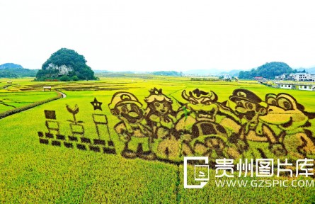 大地为纸稻为墨 千亩彩田绘丰年!贵州安顺平坝稻田旅游基地靠“种画”年销售额破2000万元