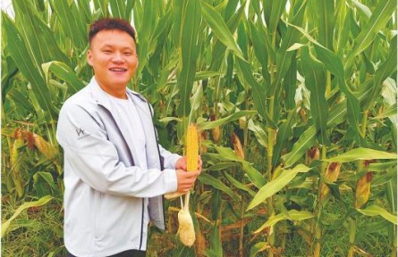 让年轻人成为现代农业新主力