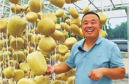 “苗木达人”转型玩葫芦