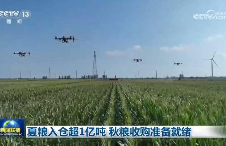 夏粮入仓超1亿吨 秋粮收购准备就绪