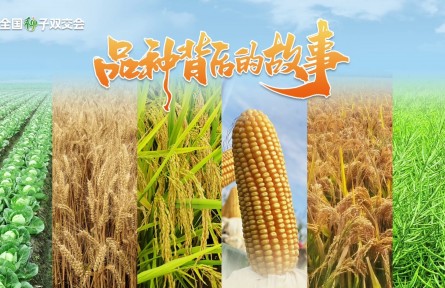 《品种背后的故事》系列宣传片汇总片