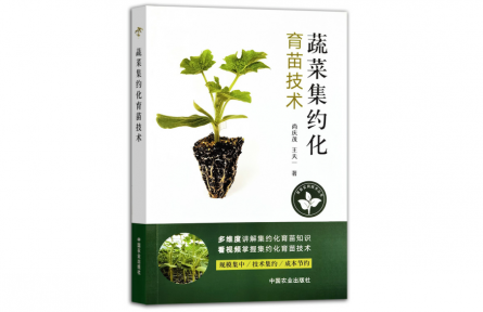 科技赋能下的蔬菜集约化育苗技术