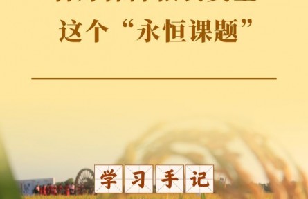 学习手记丨答好保障粮食安全这个“永恒课题”
