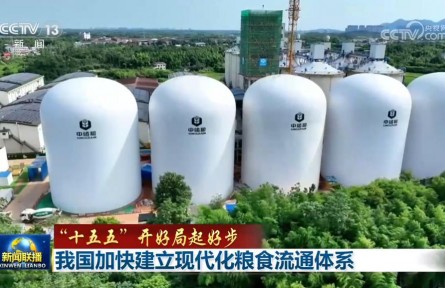 【“十五五”开好局起好步】我国加快建立现代化粮食流通体系