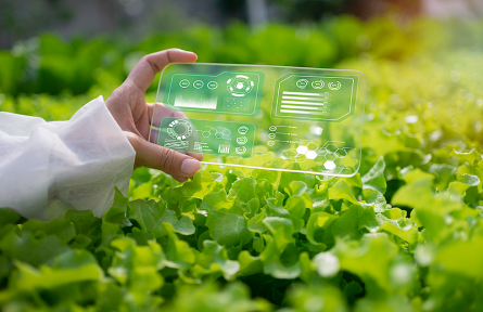 科技名词|智慧农业 ​smart agriculture