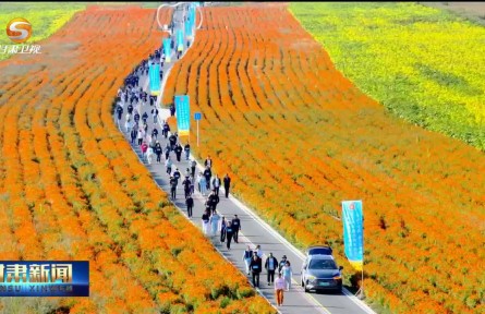 陇原大地庆丰收 五谷飘香话丰年