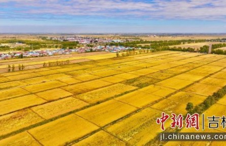 吉林松原引松工程通水半世纪：治水改碱建“大粮仓” 流量赋能助乡村振兴