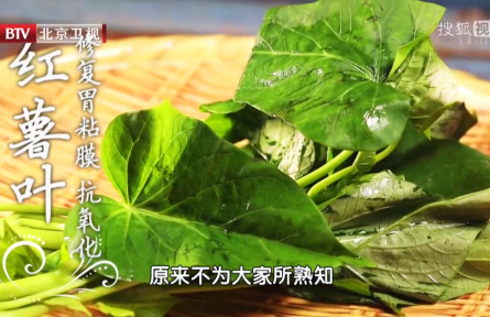 以前用来喂猪,现在是高端蔬菜,它真的能抗癌吗?