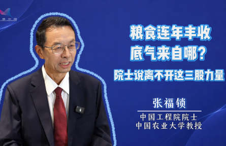丰收密码｜粮食连年丰收，底气来自哪？