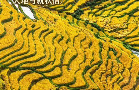 接下来的云南，将是……