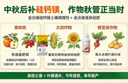 中秋过后,抓住土壤补硅补钙黄金期