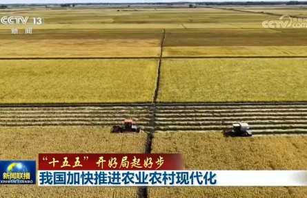 【“十五五”开好局起好步】我国加快推进农业农村现代化