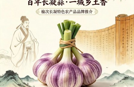 大学生品牌推荐官2026公益行 | 品牌手记⑳：千年涂河“长凝四六瓣”紫皮蒜的传承与新生