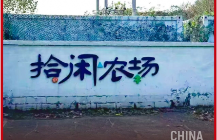 我，投入200万，在北京租60亩地当“农场主”