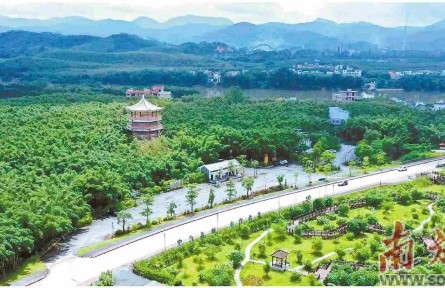 广东七部门联合推动竹产业高质量发展 到2030年粤竹产业总产值将达500亿元