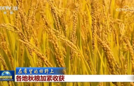 【在希望的田野上】各地秋粮加紧收获