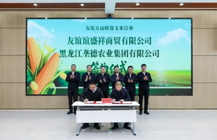 标准化种植+全链条赋能，友谊农场鲜食玉米跑出现代农业发展加速度