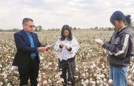 “当好‘植物医生’,为丰收保驾护航”