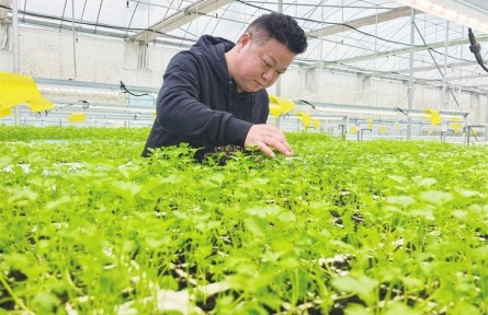 “新农人”王达均:智能工厂让家乡菜直通大湾区