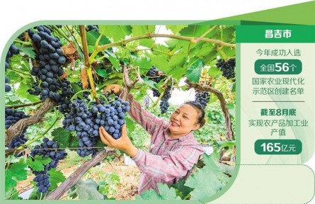 新疆昌吉市:科技赋能农业产业延链增效