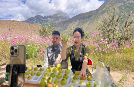 直播助农！西藏加查县打通高原特产出山路