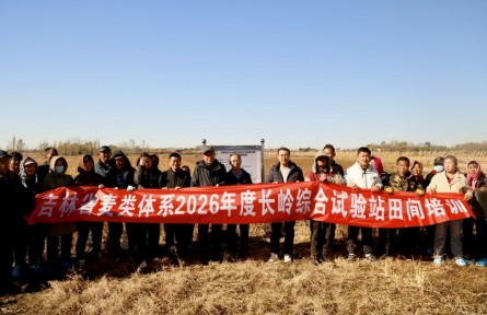 吉林：一季两收！“燕麦草+早熟大豆”复种模式获实测验证