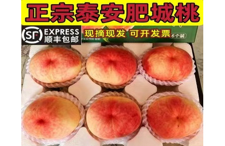 大学生品牌推荐官2026公益行丨品牌手记㉞:襄垣下良蜜桃富民产业路探秘