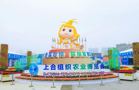 聚焦旱区种业 “芯” 高地 第十一届杨凌种业展将亮相第33届农高会