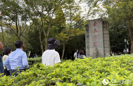 从云南普洱宁洱出发:一条茶马古道上的千年交融史