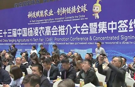 第33届中国杨凌农高会推介大会暨集中签约活动举行