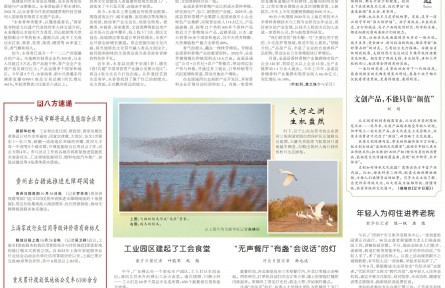 《人民日报》关注云南红河县人工见手青试种成功