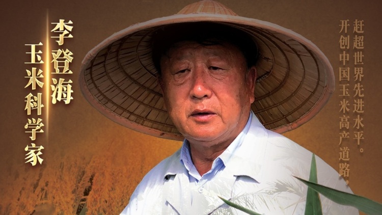 《大地脊梁》第三集:玉米科学家李登海