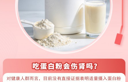 30秒懂 | 蛋白粉吃多会伤肾？