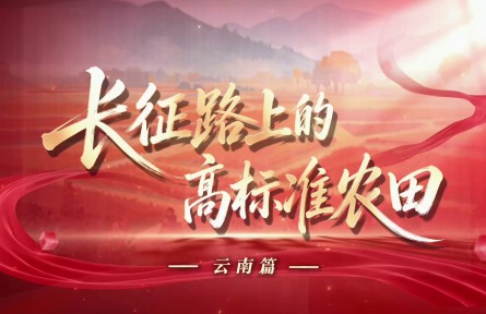 长征路上的高标准农田(云南篇)
