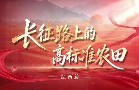 长征路上的高标准农田（江西篇）